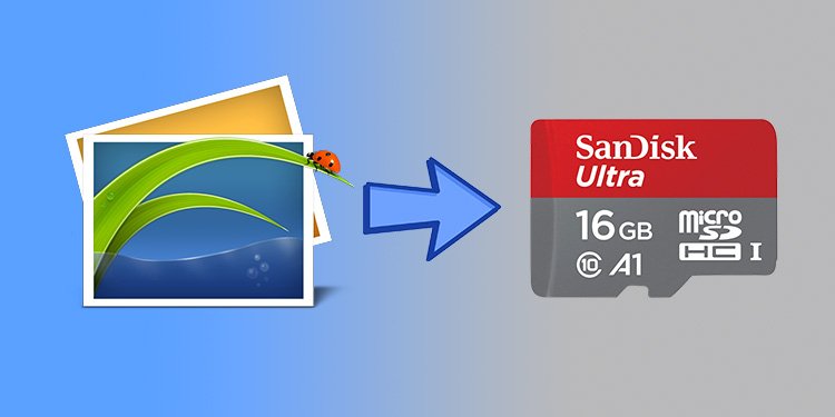 Exactly How To Transfer Photos To SD Card