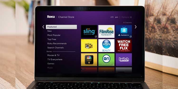 25 Hidden Or Private Roku Channels You Never Knew Existed