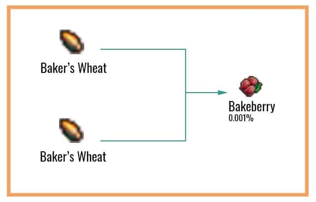 Bakeberry Chart