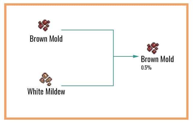 Brown Mold Chart
