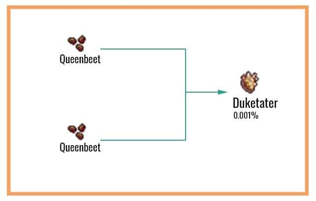 Duketater Chart