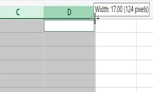 Excel-column-width