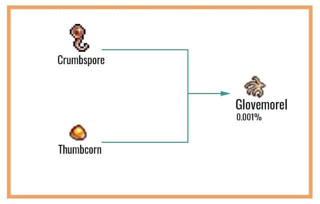 Glovemorel Chart