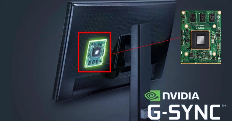 Gsync Ultimate vs Gsync vs Gsync Compatible- What's the Difference? 2 Gsync processor in monitor