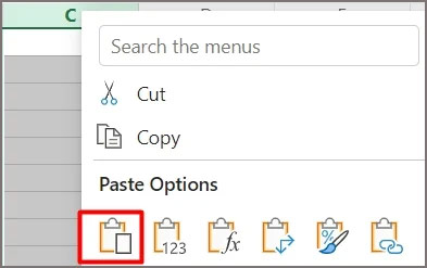 Paste-options