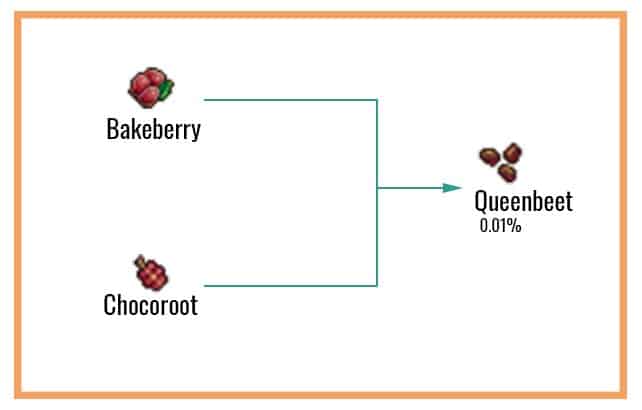 Queenbeet Chart