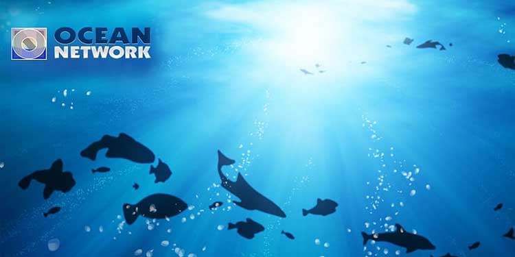25 Hidden or Private Roku Channels You Never Knew Existed 21 The Ocean Network