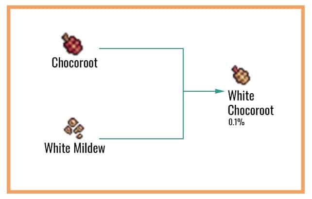 White Chocoroot Chart 
