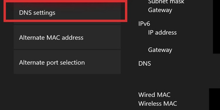 dns settings