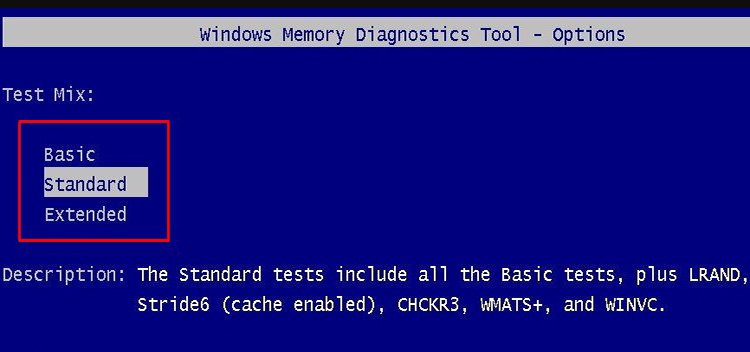 extended option in memory diagnostics