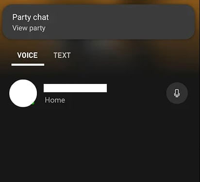 party-chat-screen