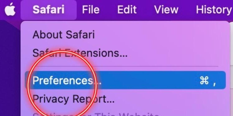 preferences in safari