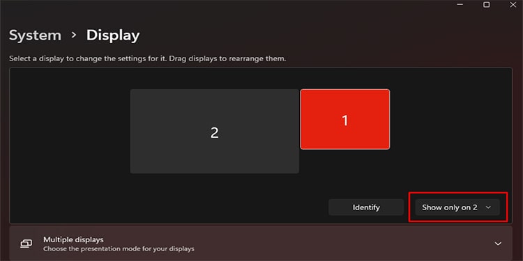 show second display only