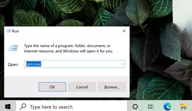type tpm.msc in run
